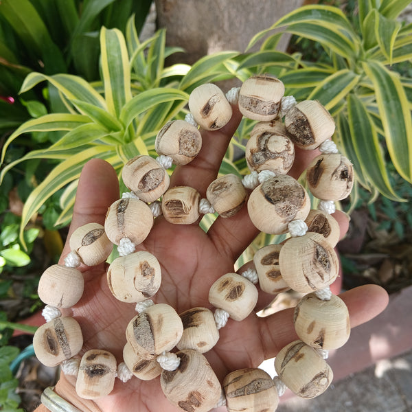 (27+1) Sumerini 24MM Pure Tulsi Japa Mala 1 Qty