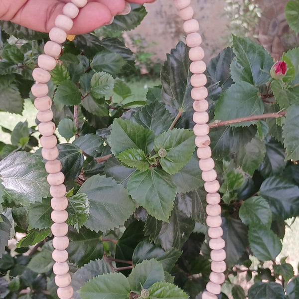 1 Round 19 Inches Pure Tulsi Kanthi Mala 8 MM Beads Size Premium Quality