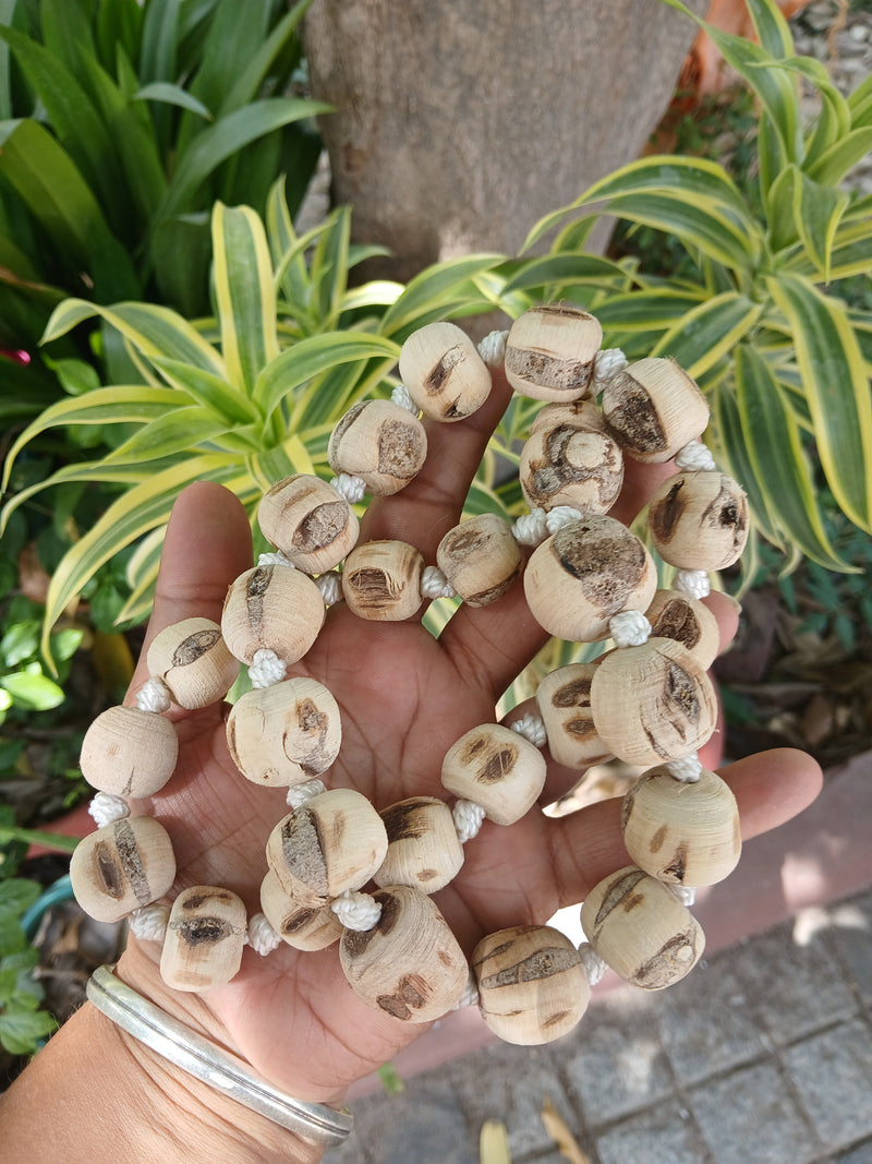 (27+1) Sumerini 26MM Pure Tulsi Japa Mala