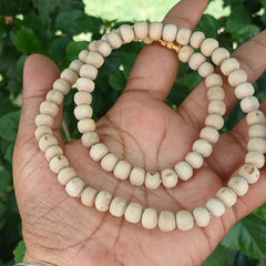 ' 1 Round 19 Inches Pure Tulsi Kanthi Mala 8 MM Beads Size Premium Quality'