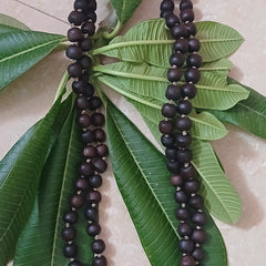 Black/Brown Desi Ghee Pure Tulsi Japa Mala (108+1) Beads 9-10 MM