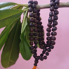 Black/Brown Desi Ghee Pure Tulsi Japa Mala (108+1) Beads 9-10 MM