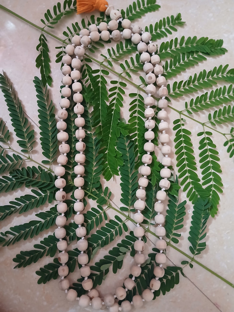 10 Mm Regular Quality Pure Tulsi Japa Mala (108+1)