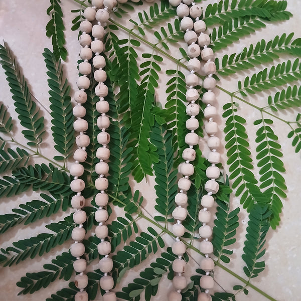 10 Mm Regular Quality Pure Tulsi Japa Mala (108+1)