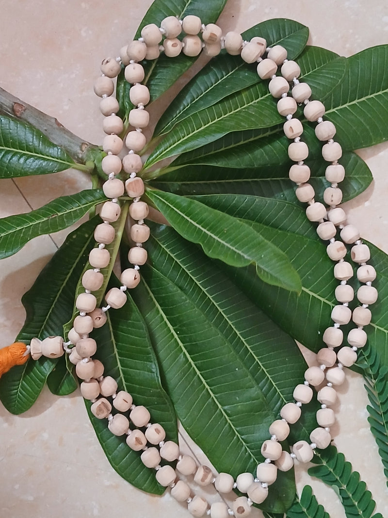 10 Mm Regular Quality Pure Tulsi Japa Mala (108+1)
