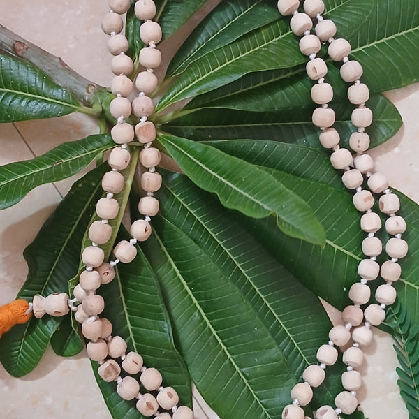 10 Mm Regular Quality Pure Tulsi Japa Mala (108+1)