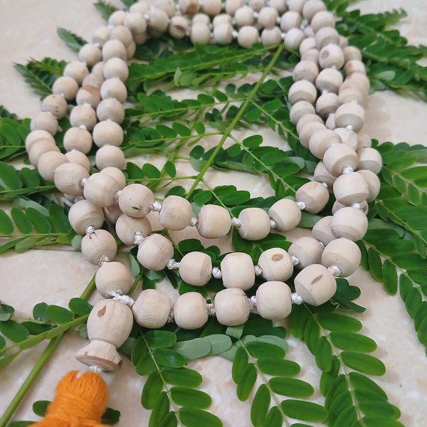 10 Mm Regular Quality Pure Tulsi Japa Mala (108+1)